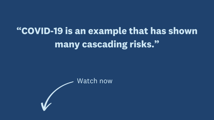 What Are Cascading Risks United Nations University